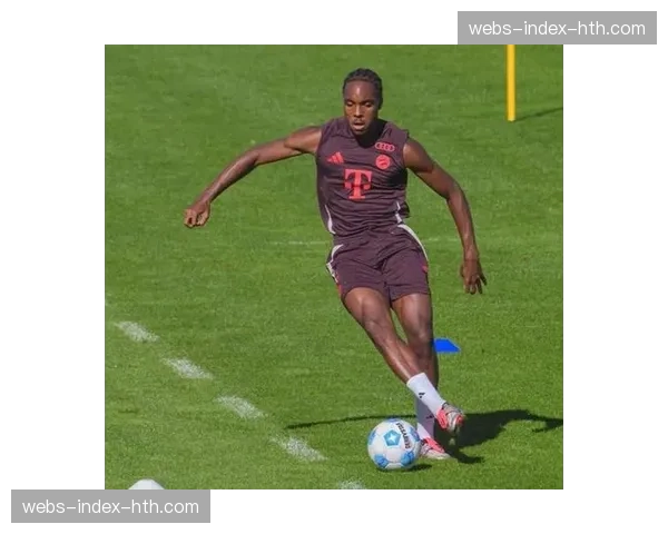 官方：拜仁前锋特尔因脚踝韧带扭伤，预计缺席四周